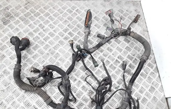 Peugeot Expert Engine installation wiring loom 1928401401