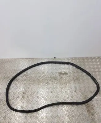 Citroen C3 Aircross Rear door rubber seal (on body) 