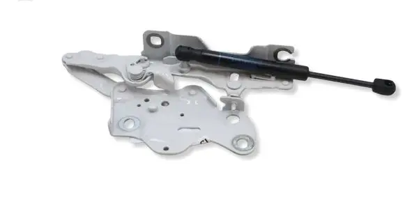 BMW X7 G07 Engine bonnet/hood hinges 7418201MWGK2603