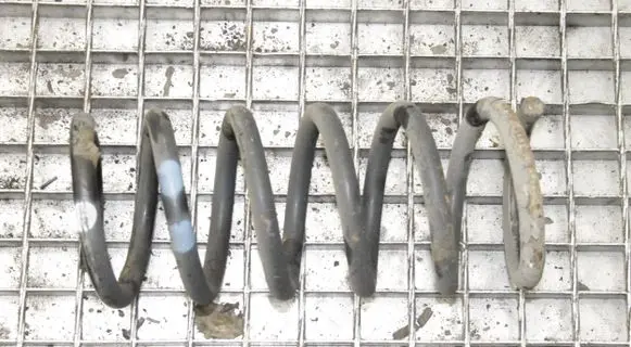 Opel Antara Rear coil spring