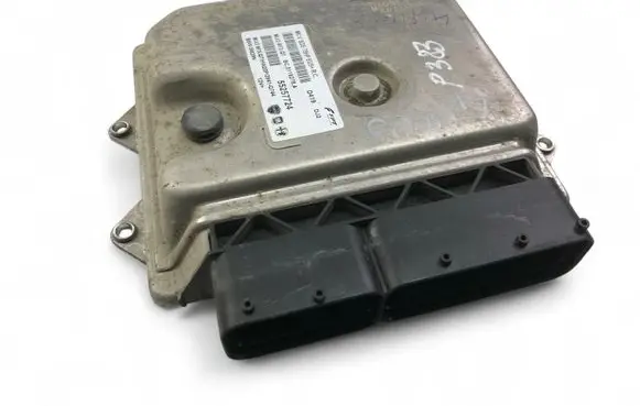 Engine control unit/module ECU