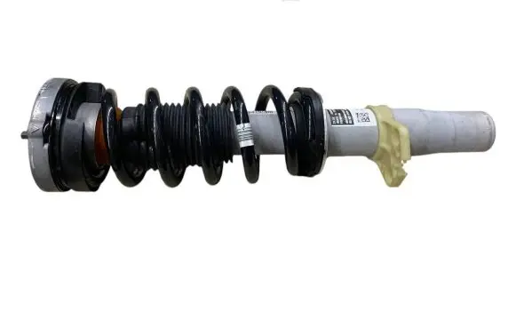 Front shock absorber with coil spring