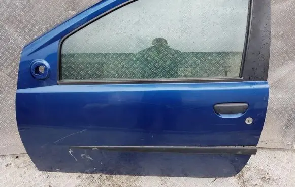 Fiat Punto (188) Front door