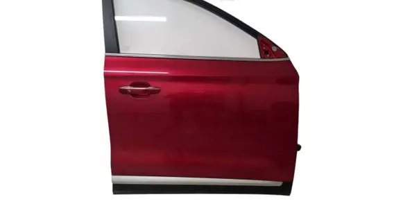 MG ZS Front door