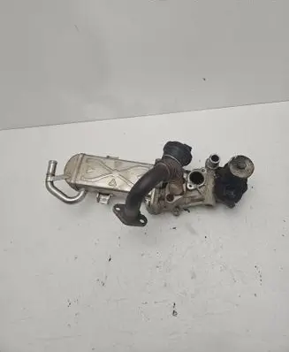 Volkswagen Golf VI EGR valve cooler