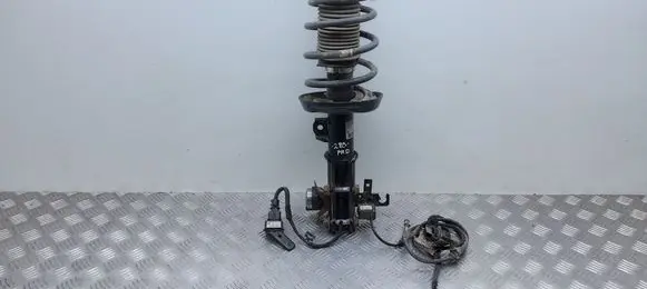 Opel Insignia A Front shock absorber with coil spring 22957281 314801619 562400008983