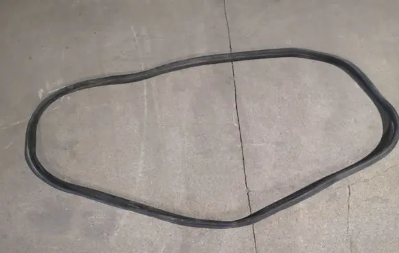 BMW X3 G01 Rear door rubber seal (on body) 7393449