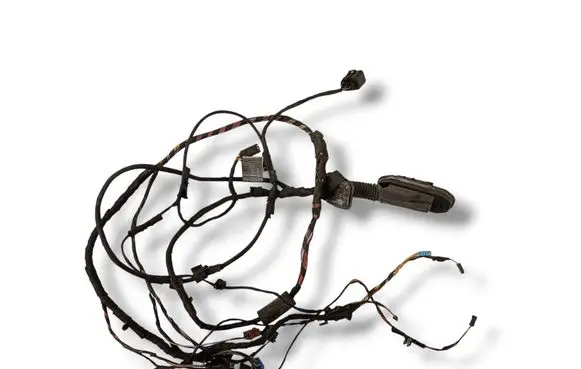 Other wiring loom