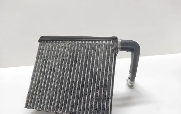 Ford Focus C-MAX Heater blower radiator