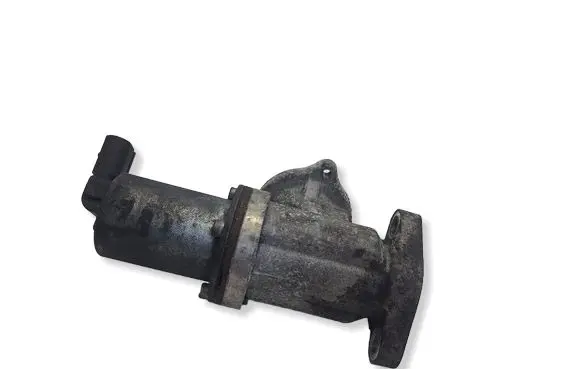 Hyundai Santa Fe EGR valve 