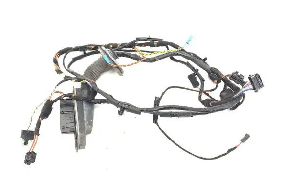 BMW X5 E70 Front door wiring loom 9203113