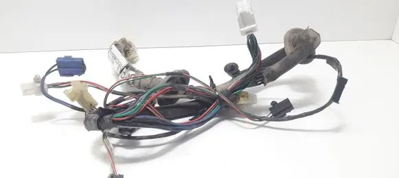 Front door wiring loom