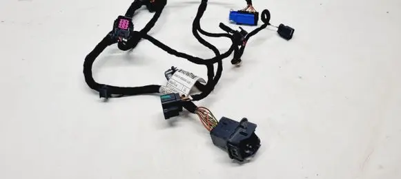 Rear door wiring loom