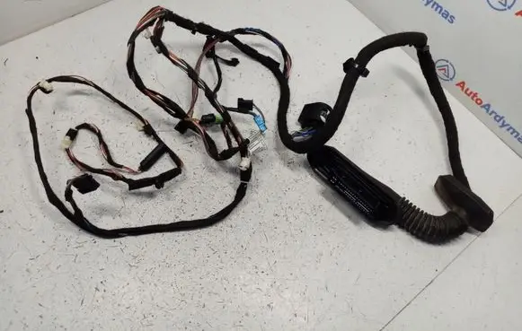 BMW X1 E84 Front door wiring loom 9269958 61129269958