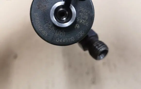 Renault Megane II Fuel injector 0445110230