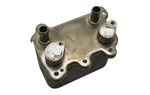 Mercedes-Benz CL C216 Engine oil radiator A1645001400