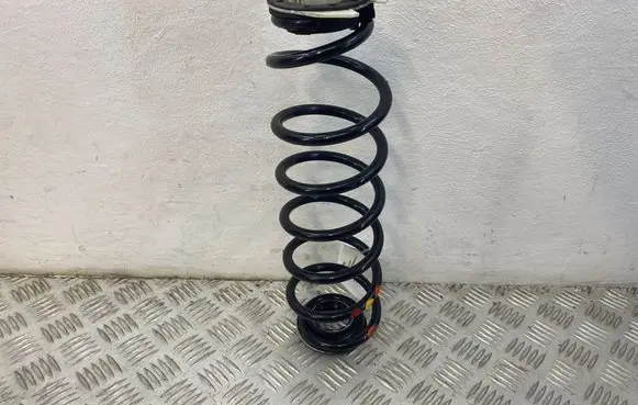 Rear coil spring