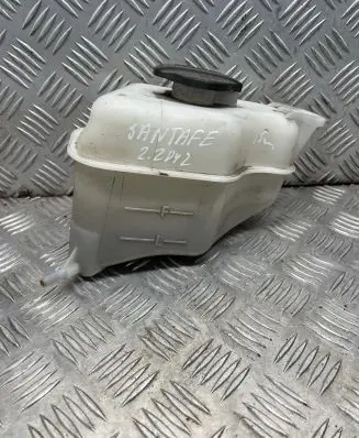 Hyundai Santa Fe Coolant expansion tank/reservoir 254302W000
