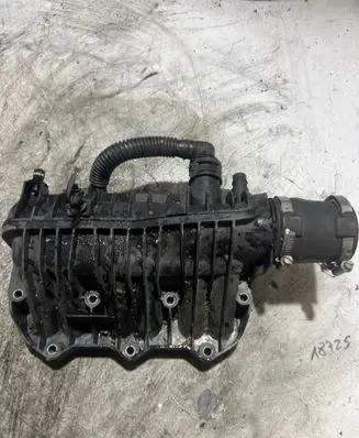 Ford Focus Intake manifold 1047092S01