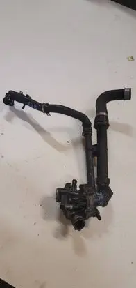 Thermostat/thermostat housing