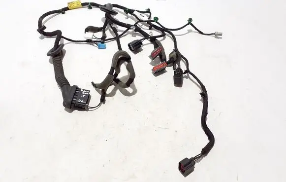 Other wiring loom