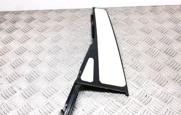 Other rear door trim element