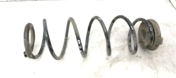 Rear coil spring