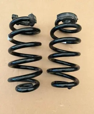 Volkswagen ID.4 Rear coil spring 1EA511103H