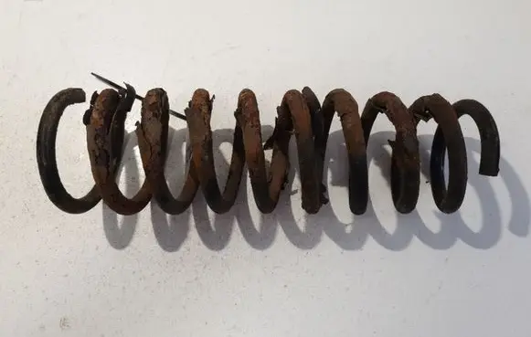 Rear coil spring