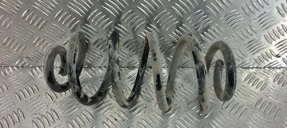 Rear coil spring