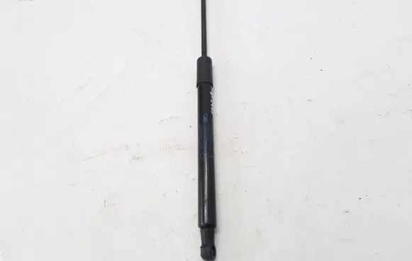 Dacia Duster II Tailgate strut 904522228R