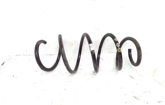 Front coil spring