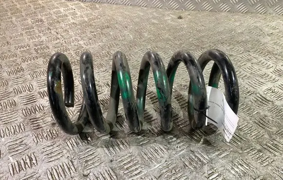 Ford Mustang VI Rear coil spring 113502901RA