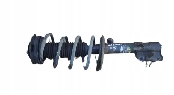 Nissan Qashqai Front shock absorber with coil spring 54302BR00B