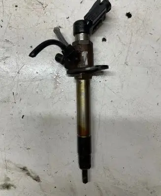 Land Rover Range Rover Sport L320 Fuel injector 030010