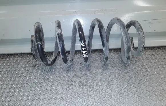 Front coil spring