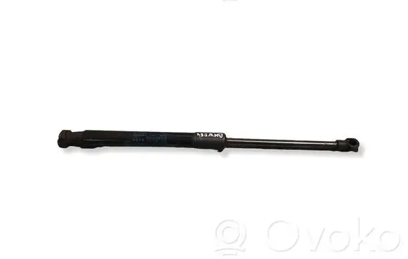 BMW X1 E84 Front bonnet/hood damper/strut 0198720450N 51232990344