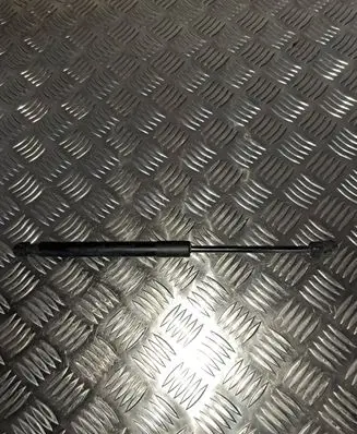 Dodge Charger Tailgate strut 