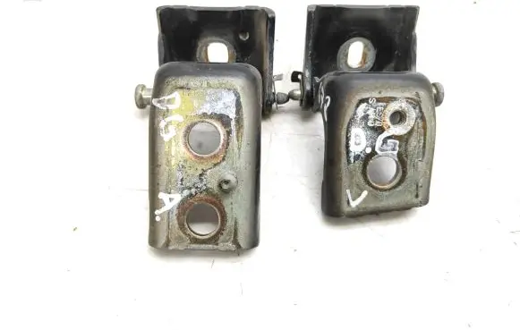 Citroen C5 Rear door hinge set EXLD