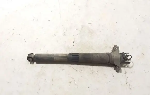 Porsche Cayenne (9Y0 9Y3) Rear shock absorber/damper 9Y0513031B