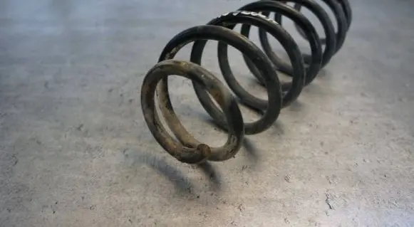 Seat Leon (1M) Rear coil spring