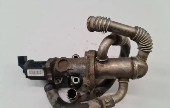 Fiat Grande Punto EGR valve 55184653 C567