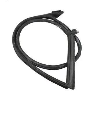 Audi RS5 Front door rubber seal 