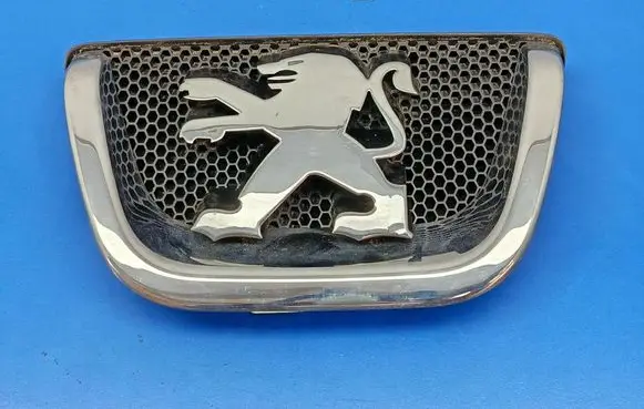 Peugeot 1007 Front grill 
