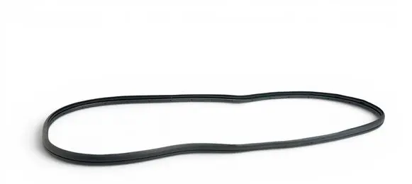 Honda e:Ny1 Front door rubber seal 723553M0J01 55443