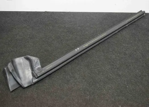 Tesla Model 3 Door glass trim 109049600E