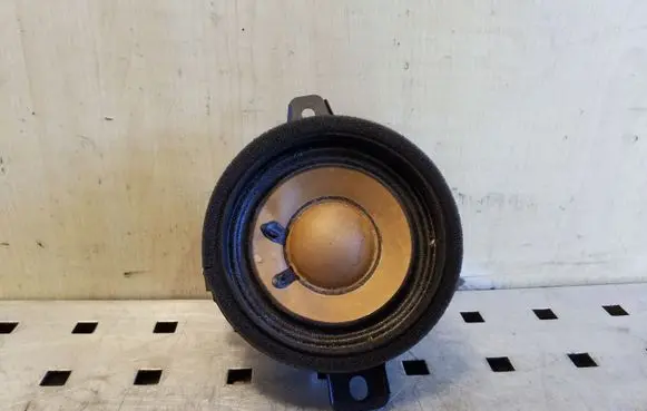 Opel Zafira C Panel speaker 13240967 545295771