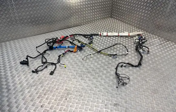 Tesla Model 3 Other wiring loom P406795503A 202201260129 SCNR22026B19748