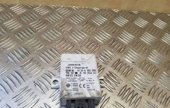 BMW 5 E39 Immobilizer control unit/module 61356905666