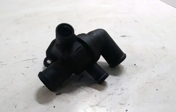 Thermostat/thermostat housing